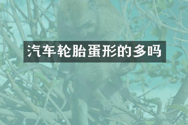 汽车轮胎蛋形的多吗
