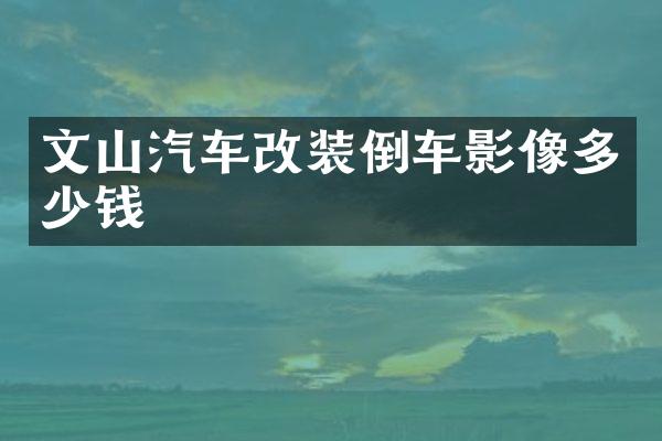 文山汽车改装倒车影像多少钱