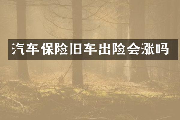 汽车保险旧车出险会涨吗