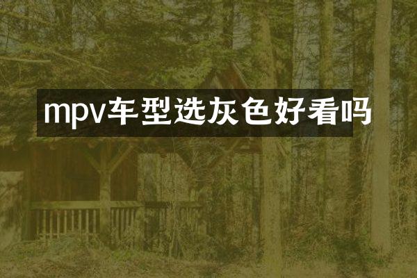 mpv车型选灰色好看吗