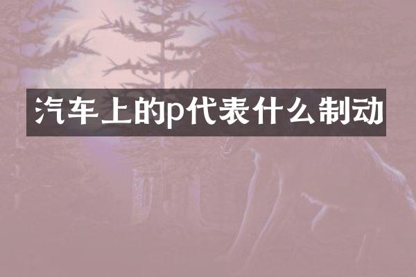 汽车上的p代表什么制动