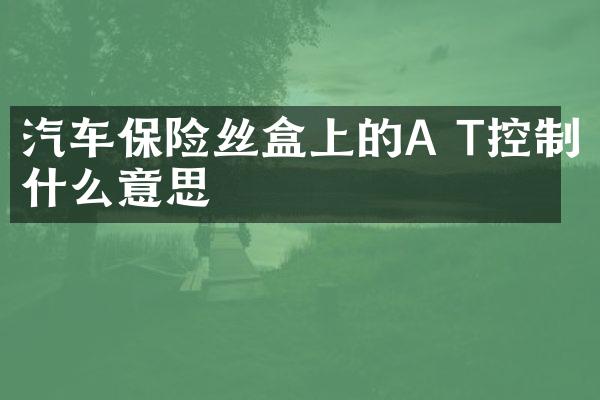 汽车保险丝盒上的A T控制什么意思