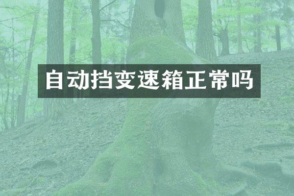 自动挡变速箱正常吗