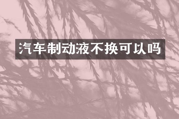 汽车制动液不换可以吗