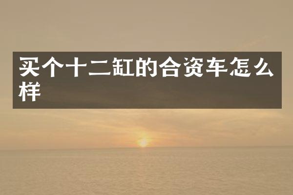 买个十二缸的合资车怎么样
