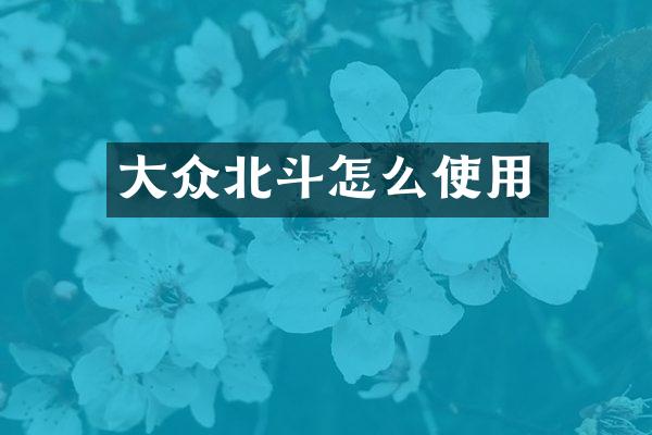 大众北斗怎么使用