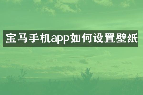 宝马手机app如何设置壁纸