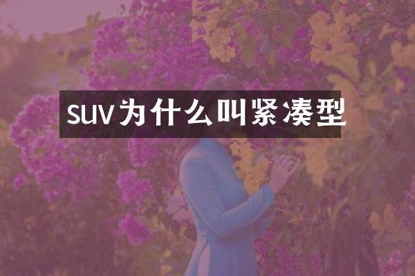 suv为什么叫紧凑型