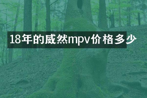 18年的威然mpv价格多少