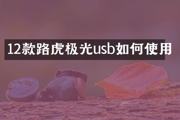 12款路虎极光usb如何使用
