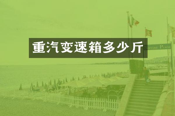 重汽变速箱多少斤