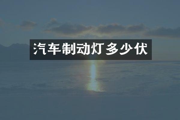 汽车制动灯多少伏