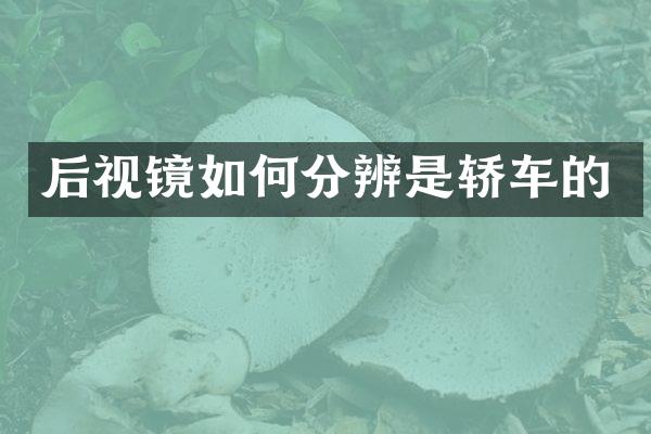后视镜如何分辨是轿车的