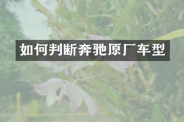 如何判断奔驰原厂车型