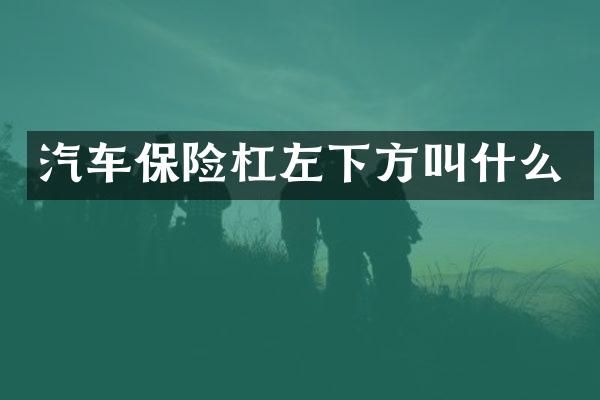 汽车保险杠左下方叫什么