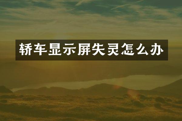 轿车显示屏失灵怎么办