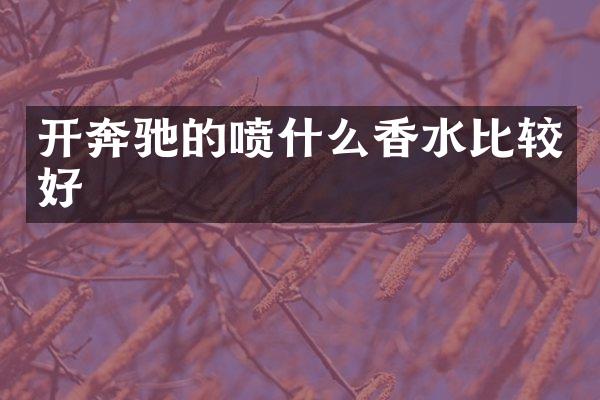 开奔驰的喷什么香水比较好
