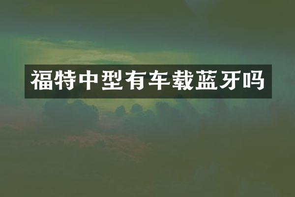 福特中型有车载蓝牙吗