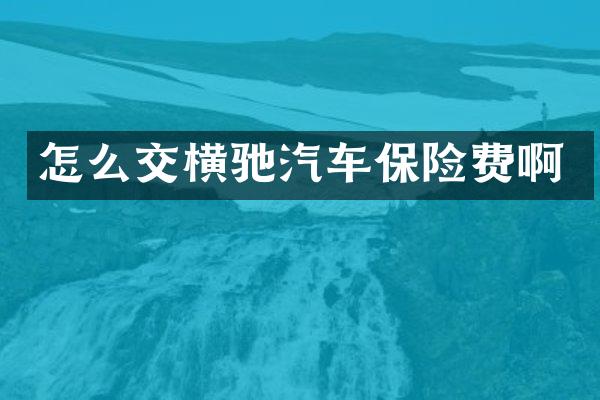 怎么交横驰汽车保险费啊