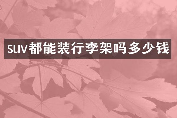 suv都能装行李架吗多少钱