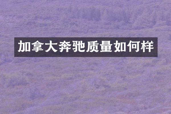 加拿大奔驰质量如何样