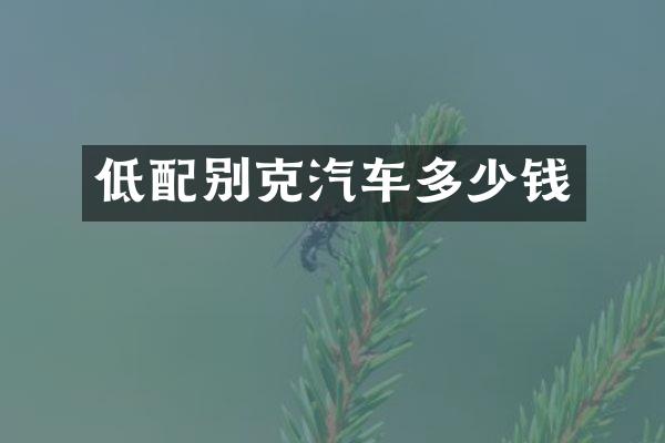 低配别克汽车多少钱