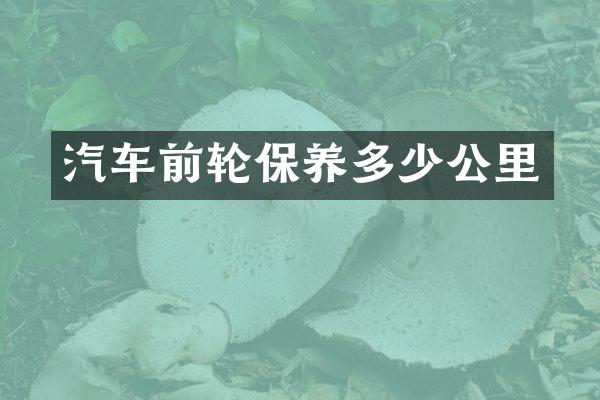汽车前轮保养多少公里