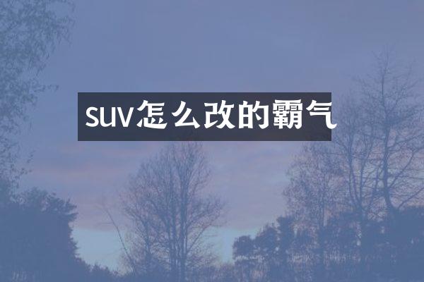 suv怎么改的霸气