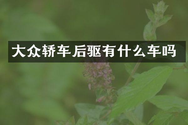 大众轿车后驱有什么车吗