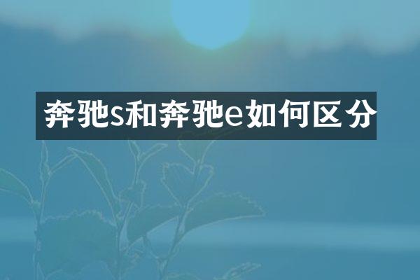 奔驰s和奔驰e如何区分