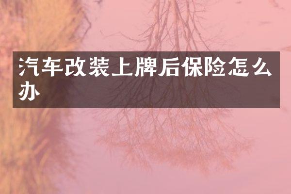 汽车改装上牌后保险怎么办