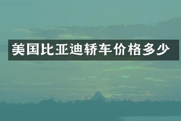 美国比亚迪轿车价格多少