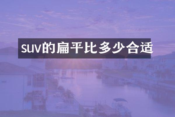 suv的扁平比多少合适
