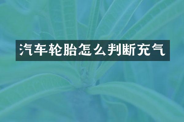 汽车轮胎怎么判断充气