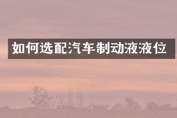 如何选配汽车制动液液位