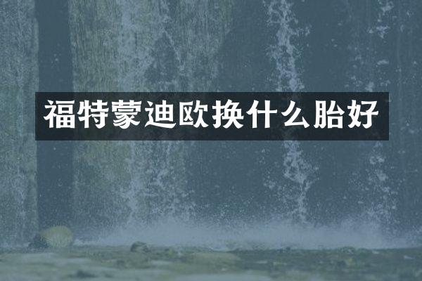 福特蒙迪欧换什么胎好