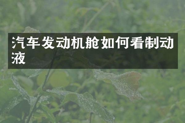 汽车发动机舱如何看制动液