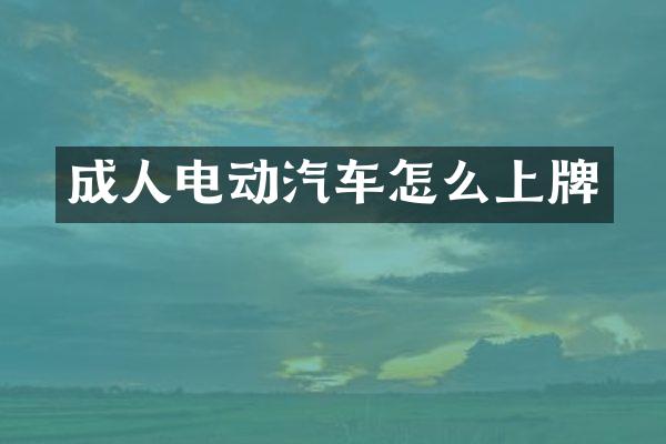 成人电动汽车怎么上牌