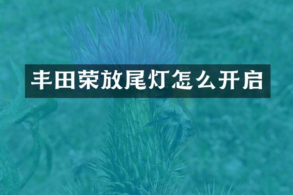丰田荣放尾灯怎么开启