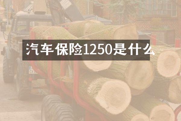 汽车保险1250是什么