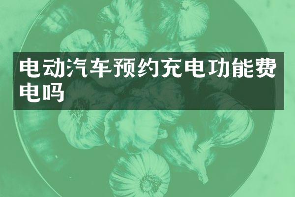 电动汽车预约充电功能费电吗