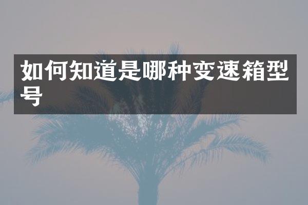 如何知道是哪种变速箱型号