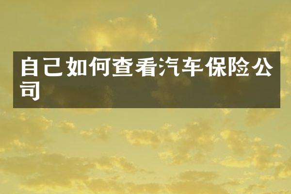 自己如何查看汽车保险公司