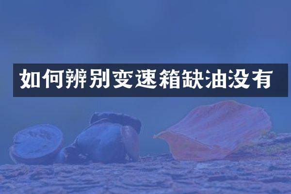 如何辨别变速箱缺油没有