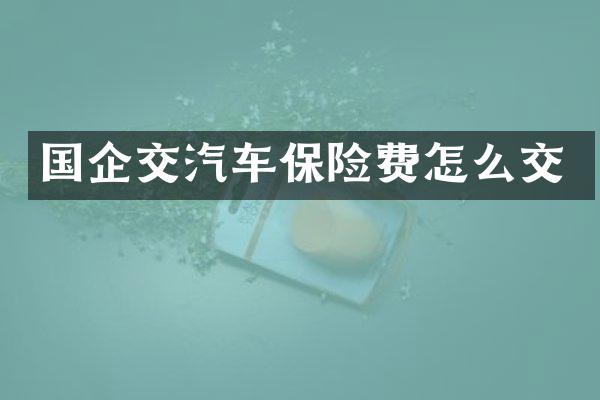 国企交汽车保险费怎么交