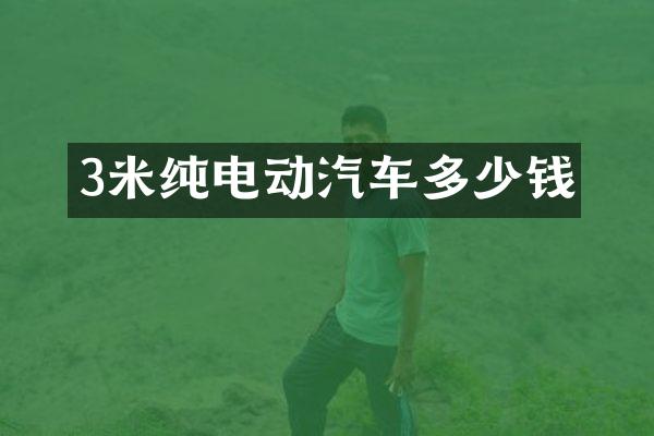 3米纯电动汽车多少钱