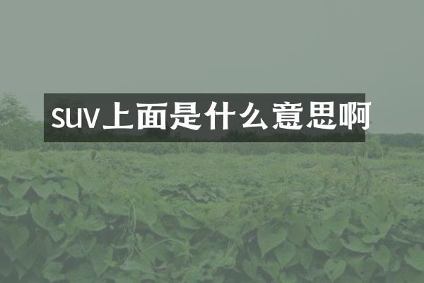 suv上面是什么意思啊