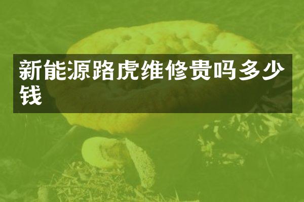 新能源路虎维修贵吗多少钱