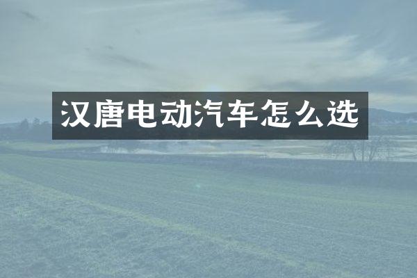 汉唐电动汽车怎么选