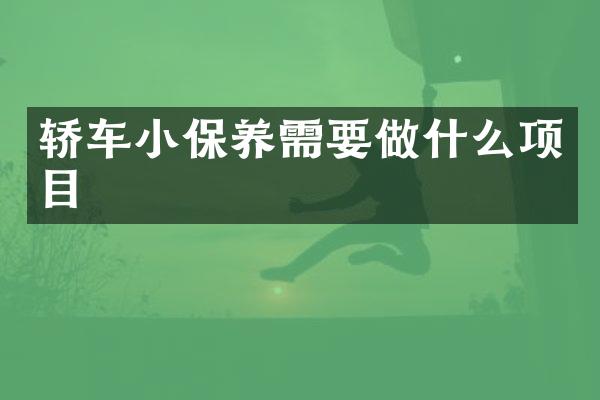 轿车小保养需要做什么项目